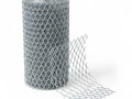 setka-czpvs-oczinkovannaya-25x15x1-5-mm-st3